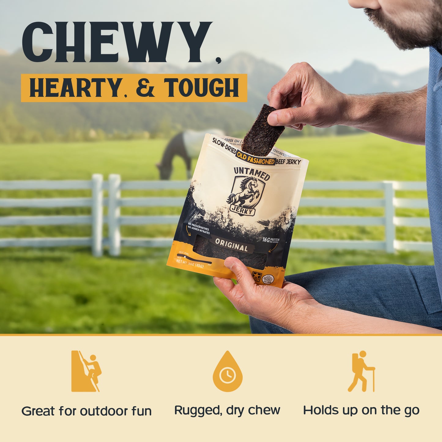 Original - Old Fashioned Jerky